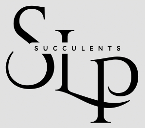 black and white minimalist professional initial logo 3